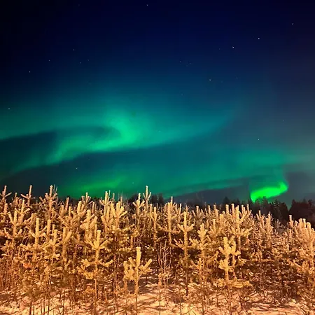 Polar Yllaes, *