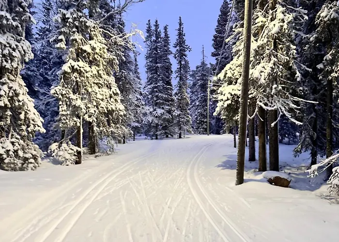 Dom wakacyjny Polar Yllaes, Äkäslompolo